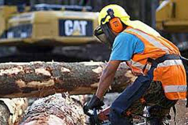 safety_management_forestry_alliance_solutions_15