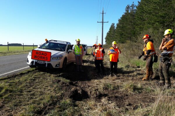 traffic_management_forestry_tree_services_roadside_safety_4